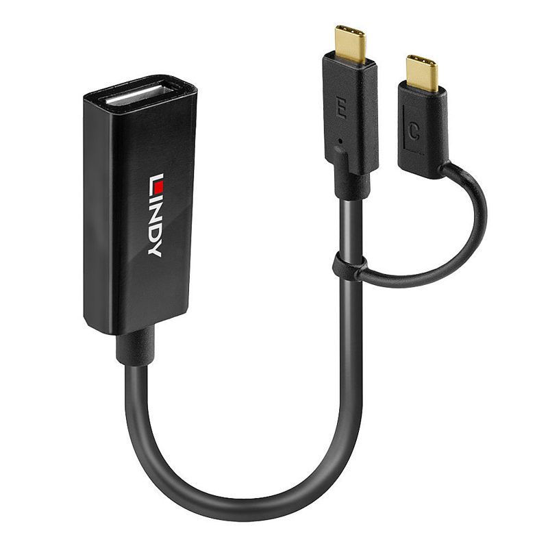 Convertissseur Bidirectionnel USB Type C vers DisplayPort