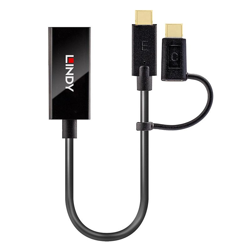 Convertissseur Bidirectionnel USB Type C vers DisplayPort – Image 2